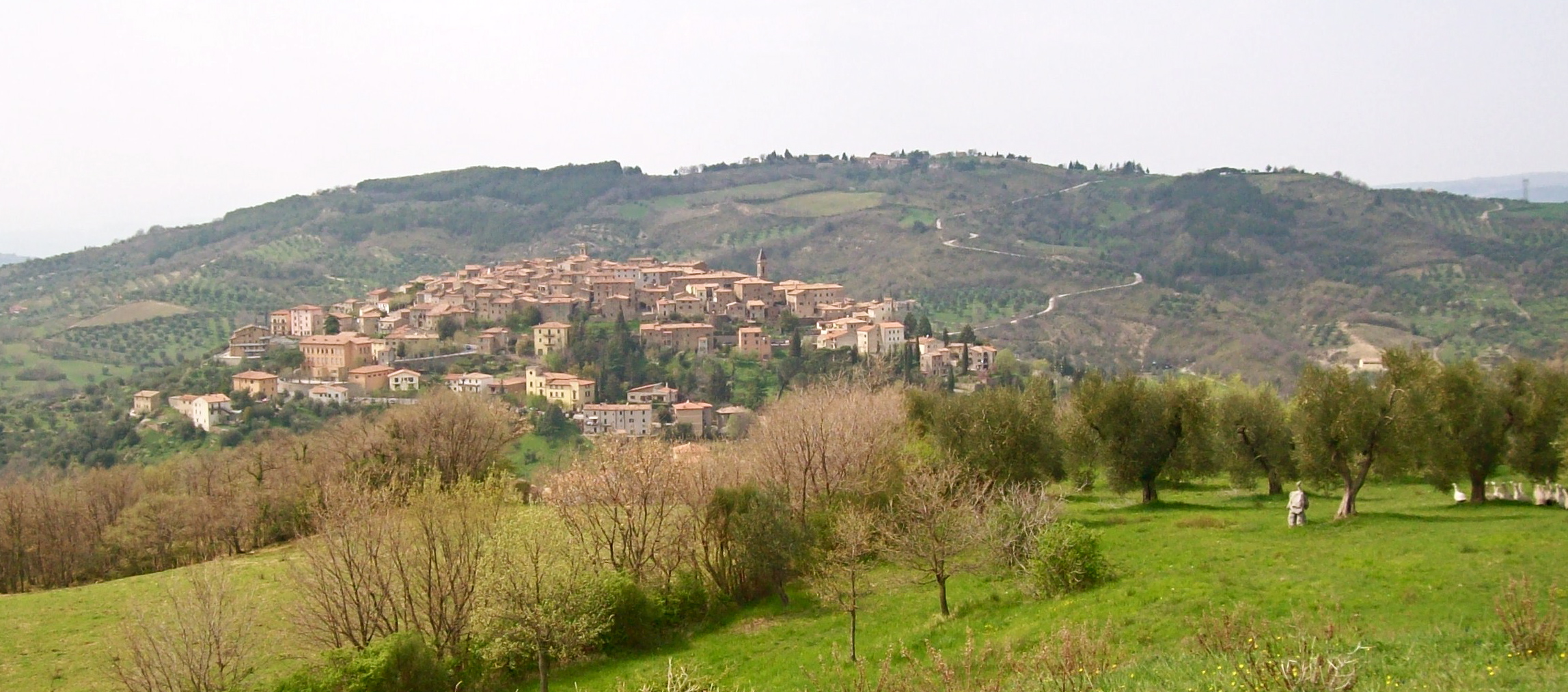 Amiata