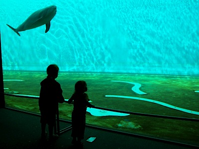 Aquarium Genua